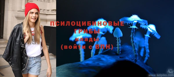 прущий лед Аркадак
