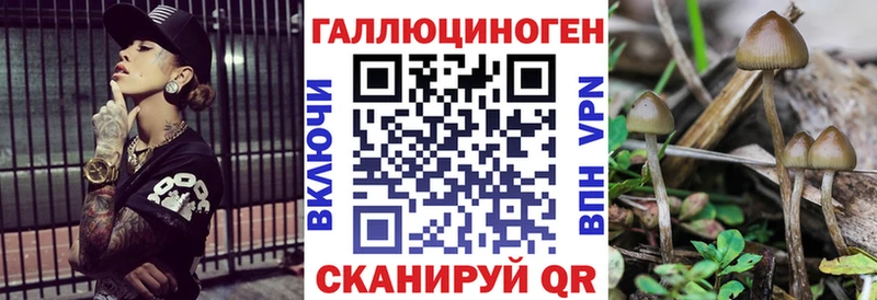 Псилоцибиновые грибы Magic Shrooms  Сочи 