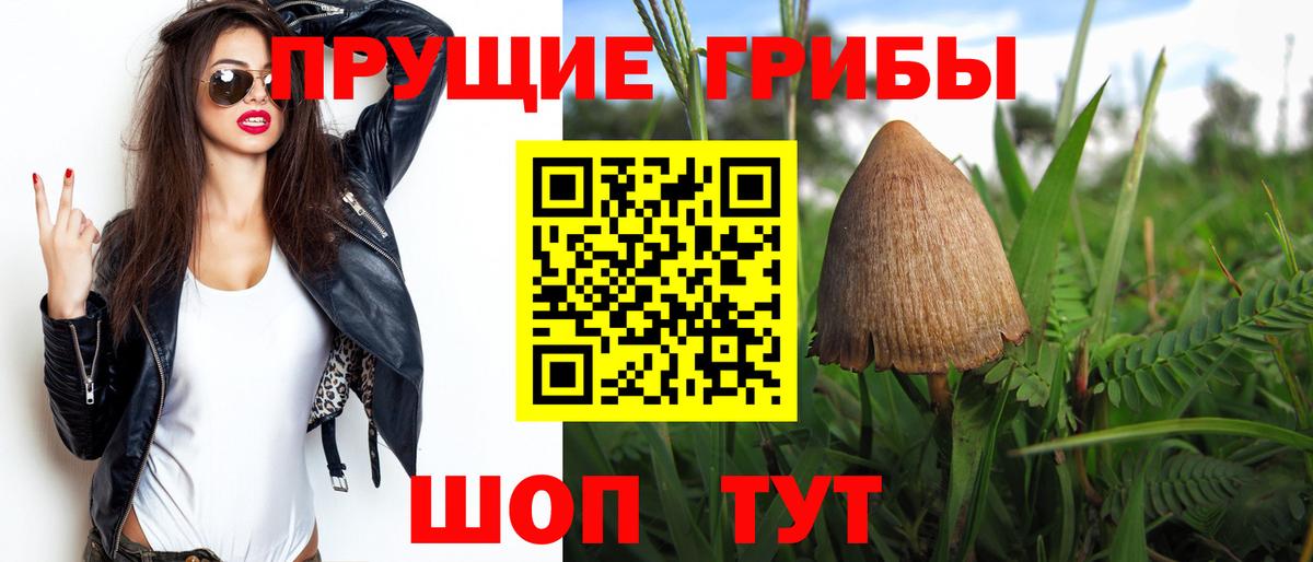 Псилоцибиновые грибы ЛСД Сочи